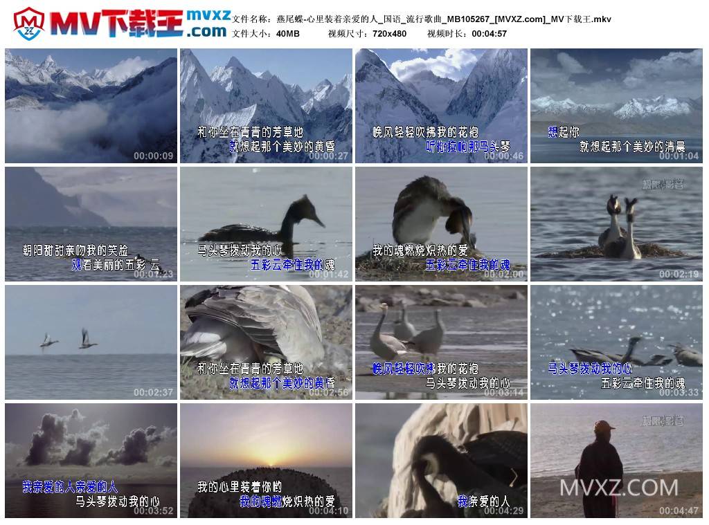 燕尾蝶-心里装着亲爱的人_国语_流行歌曲_MB105267